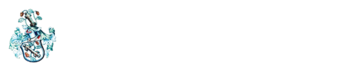 Feest- en themakleding voor klein en groot